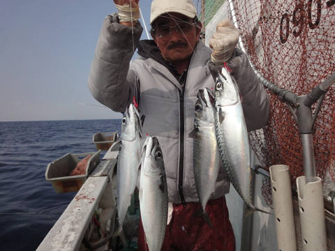 3月の釣果です