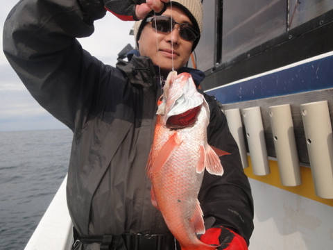 3月の釣果です