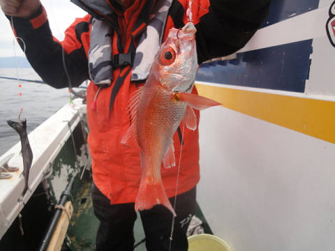 3月の釣果です