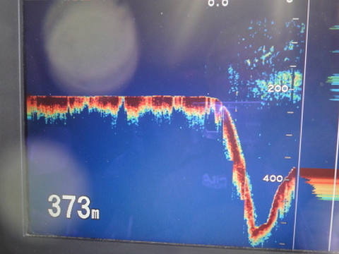 3月の釣果です