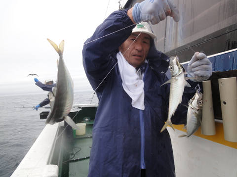 4月釣果です