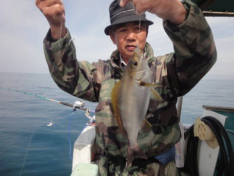 5月釣果です