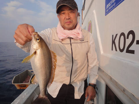 5月釣果です