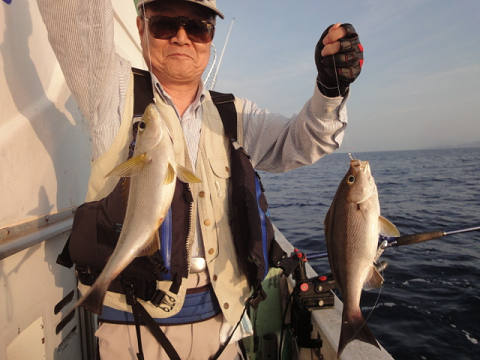 5月釣果です