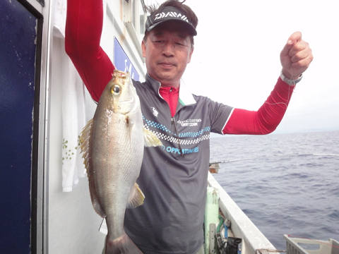 6月釣果です