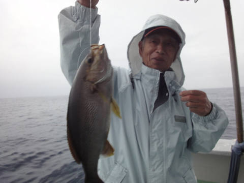 6月釣果です