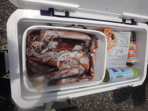 7月釣果です