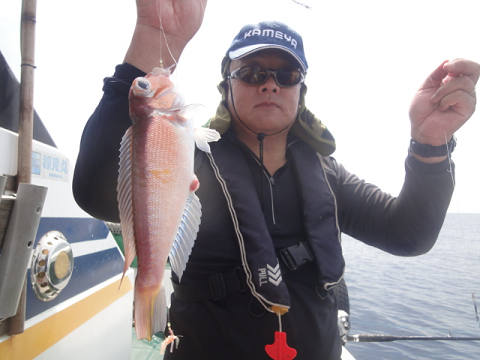 7月釣果です