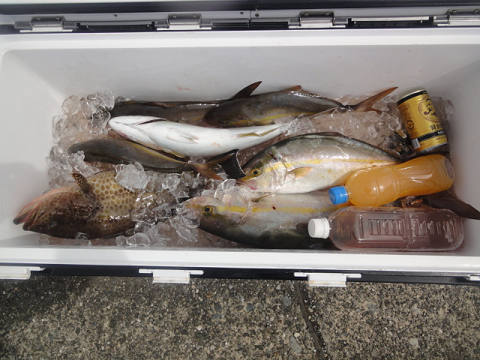 9月釣果です