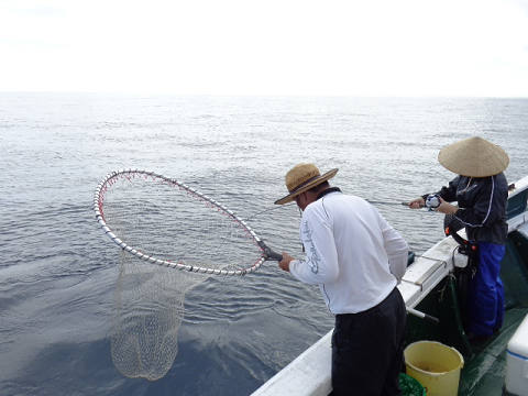 9月釣果です