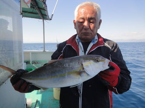 11月釣果です