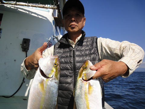11月釣果です