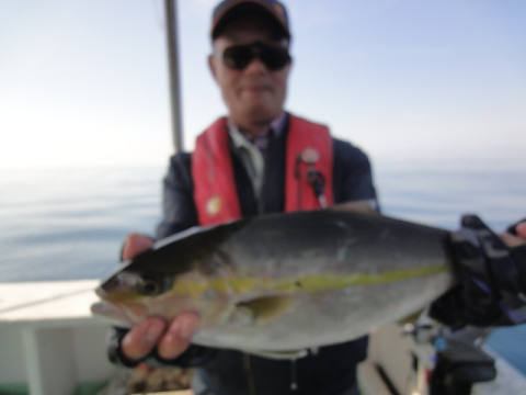 11月釣果です