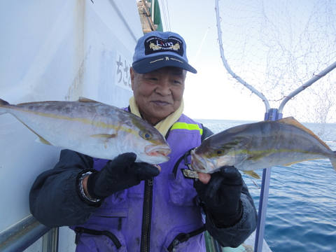 11月釣果です