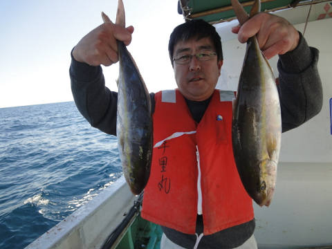 11月釣果です