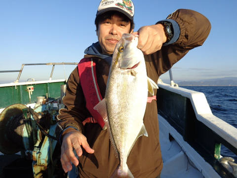 11月釣果です