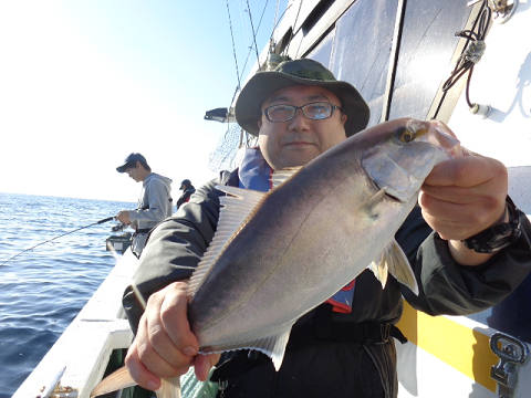 11月釣果です
