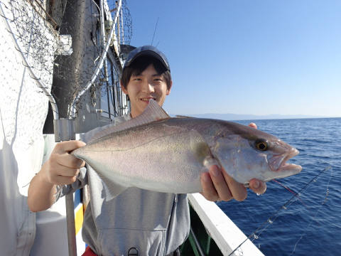 11月釣果です