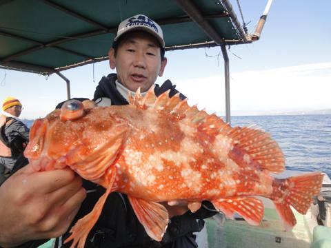12月釣果です