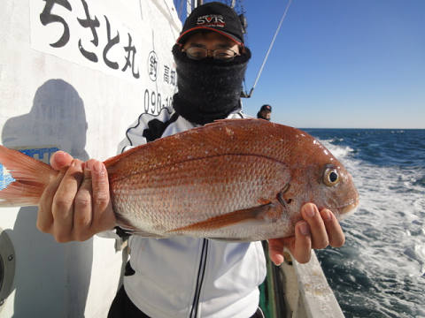 12月釣果です