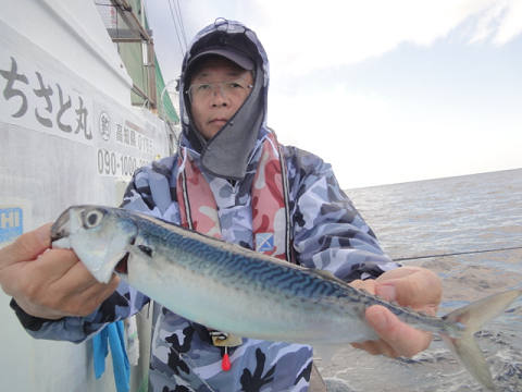 11月釣果です