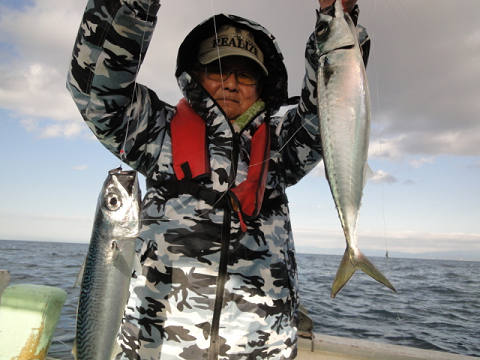 11月釣果です
