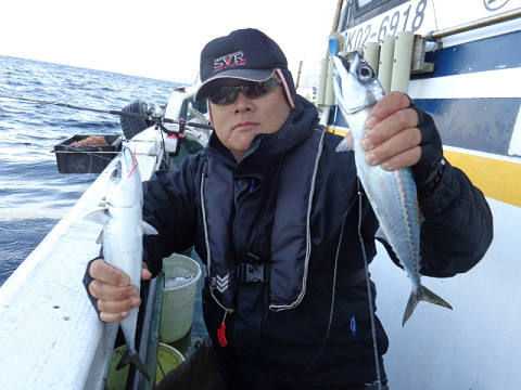 11月釣果です