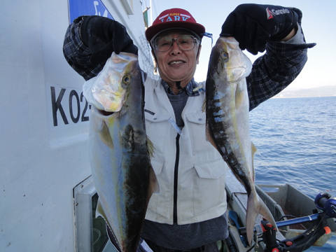 11月釣果です