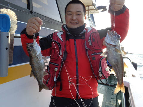 12月釣果です