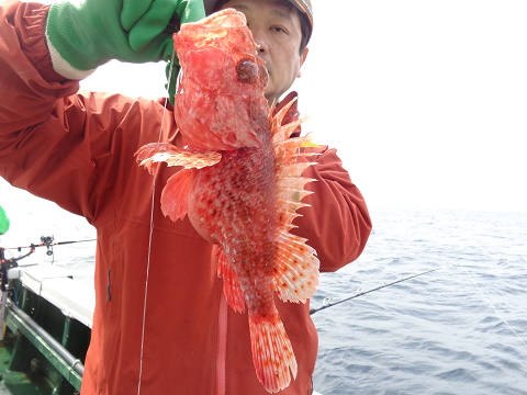 4月釣果です