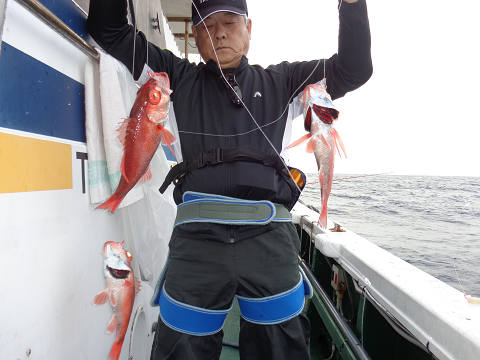 5月釣果です