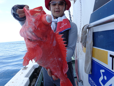 6月釣果です