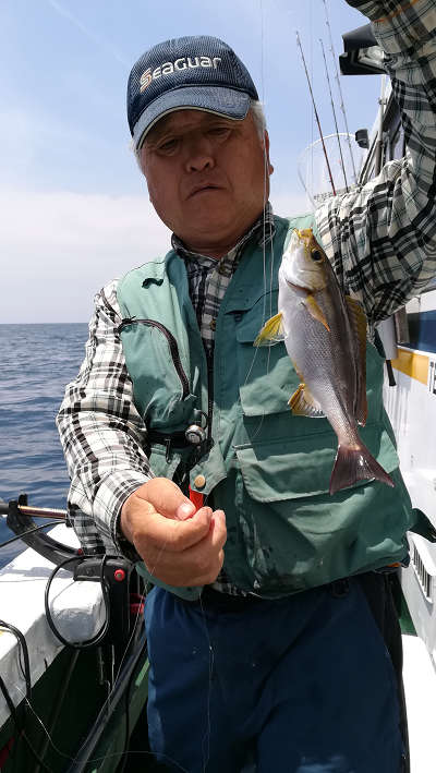 6月釣果です