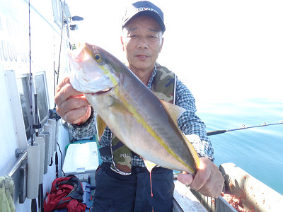 11月釣果です