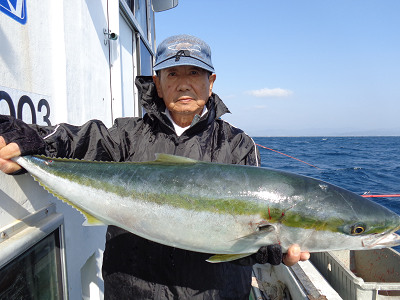 11月釣果です
