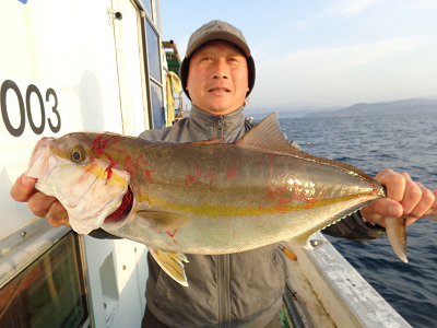 11月釣果です