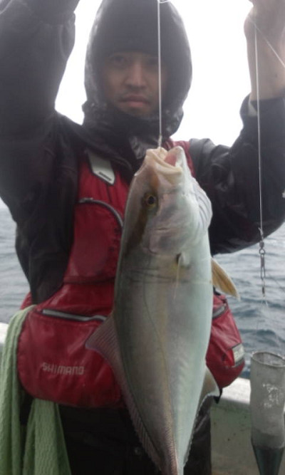 12月釣果です