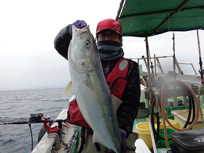 11月釣果です